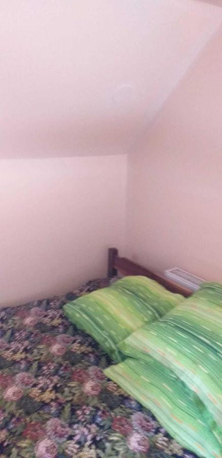 فيلا Casa Boierului Imbri Cîrţişoara المظهر الخارجي الصورة