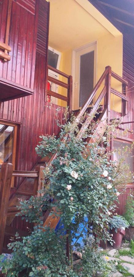 فيلا Casa Boierului Imbri Cîrţişoara المظهر الخارجي الصورة