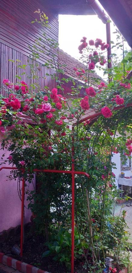 فيلا Casa Boierului Imbri Cîrţişoara المظهر الخارجي الصورة