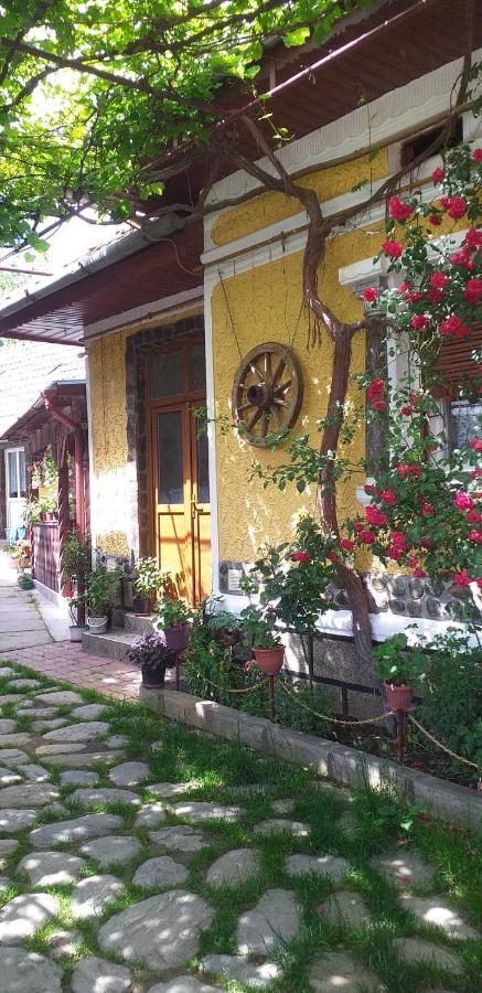 فيلا Casa Boierului Imbri Cîrţişoara المظهر الخارجي الصورة
