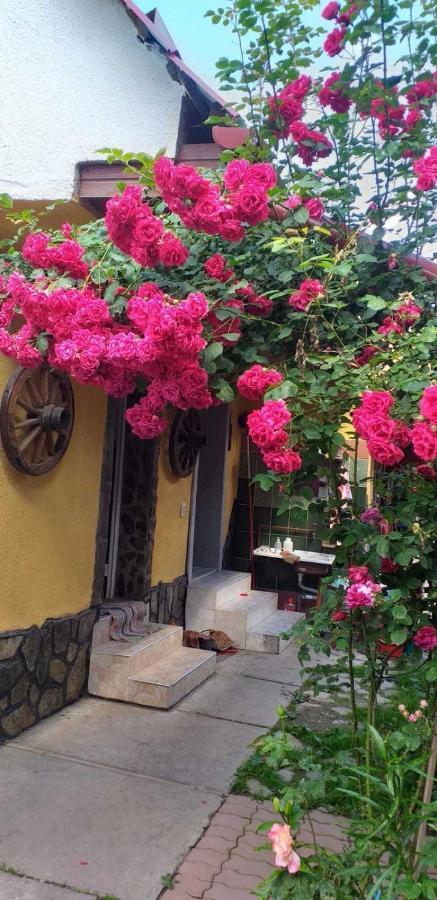 فيلا Casa Boierului Imbri Cîrţişoara المظهر الخارجي الصورة